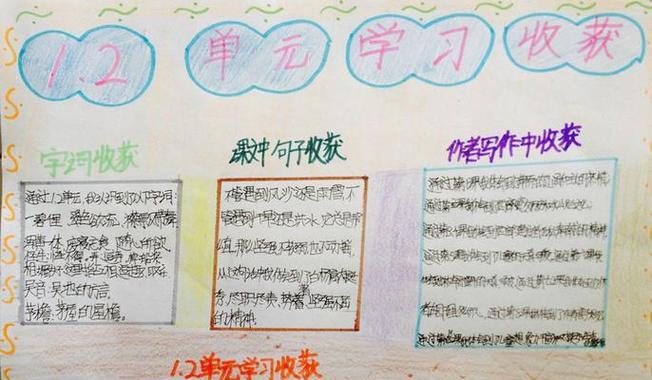 收获的喜悦-第3张图片-学作网