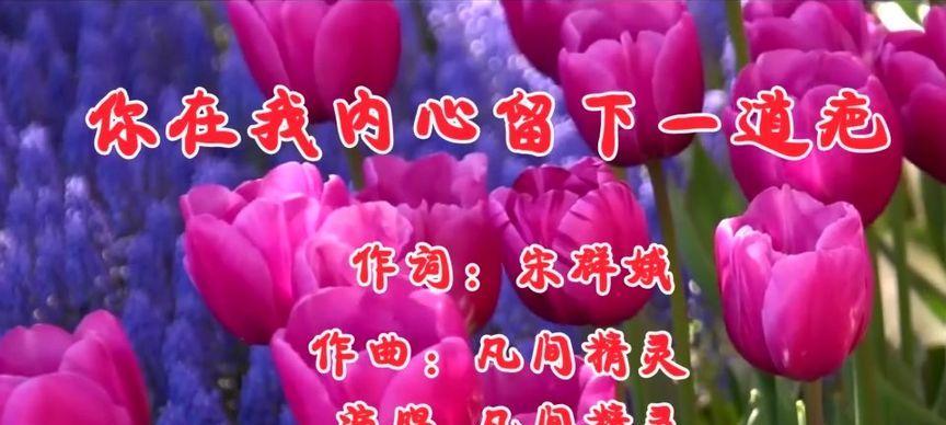 疤痕下的成长（一个女孩在伤口中求生存）-第1张图片-学作网