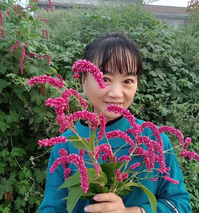呼吸大自然的气息（与山水共存）-第2张图片-学作网
