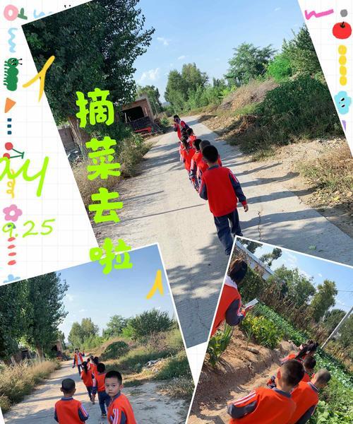 小女孩的田野探险（探索自然的美妙与奥秘）-第1张图片-学作网