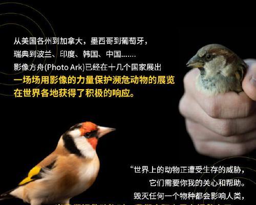 乐章之魂（音乐让我们相遇）-第2张图片-学作网