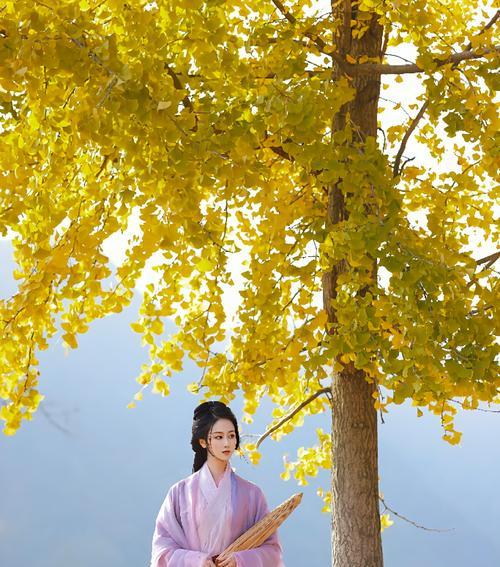 生活的真谛——一个不一样的旅程（探索，领悟，成长）-第1张图片-学作网