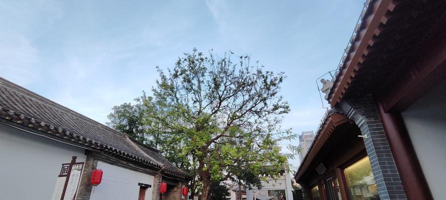 坚不可摧的信念（从一个身上带着枷锁的少年到一位自由自在的航海家）-第2张图片-学作网