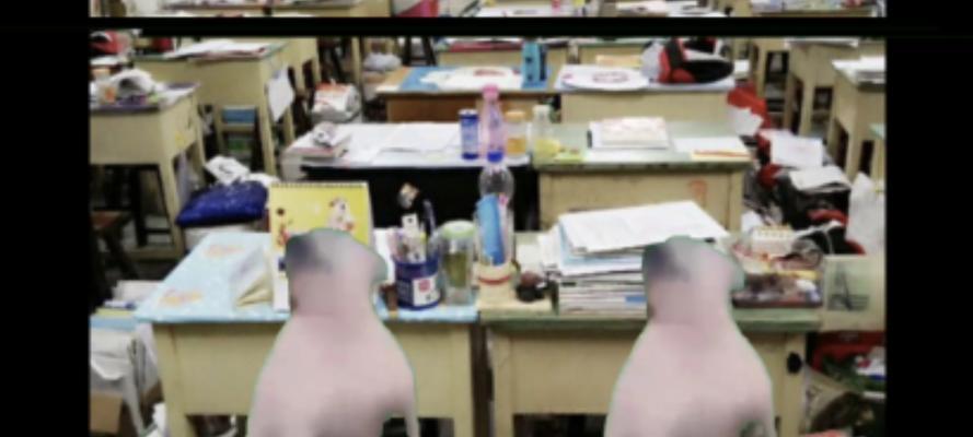 友谊的珍贵（孤独少年的故事）-第1张图片-学作网