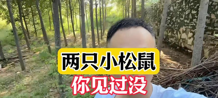 爱护野生动物的意义-第1张图片-学作网