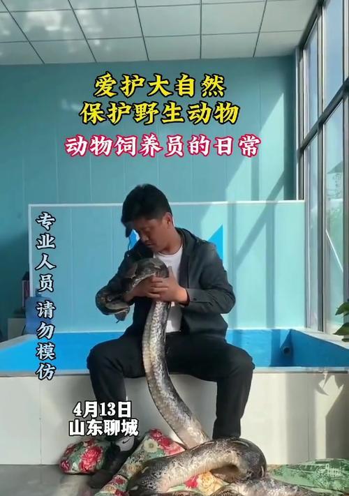 爱护野生动物的意义-第3张图片-学作网