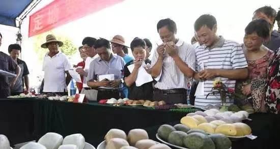 迎春花开（家家户户张灯结彩迎来新年第一缕阳光）-第3张图片-学作网
