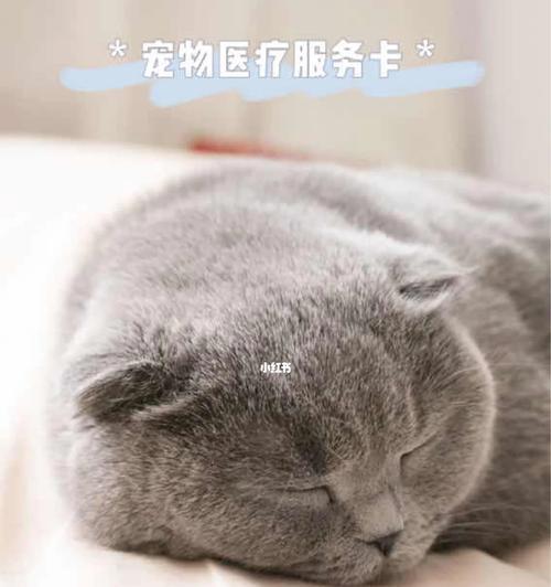 永不放弃的信念（以它为依托，闯过人生大关）-第2张图片-学作网