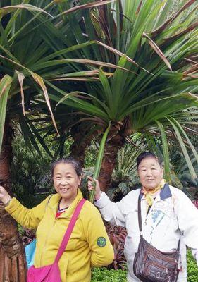 一场雨一种缘分，两个陌生人的友情故事（一场雨一种缘分，两个陌生人的友情故事）-第3张图片-学作网