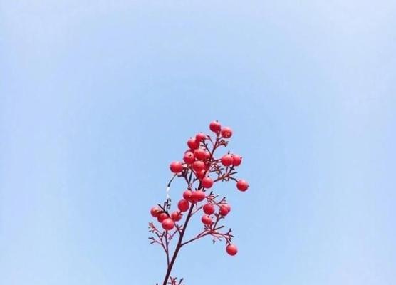 蕴含的真正道理（一位懂得珍惜的小姑娘）-第2张图片-学作网