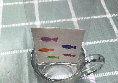 纸片托水实验的探索（小孩子的科学实验）-第1张图片-学作网