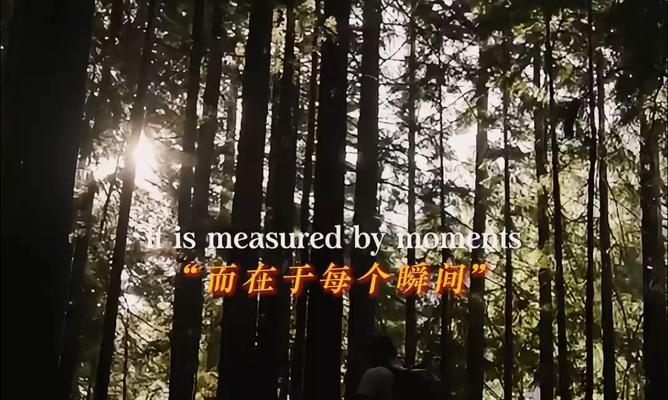 《生命的珍贵》（一个关于勇气、信念和生命的故事）-第3张图片-学作网
