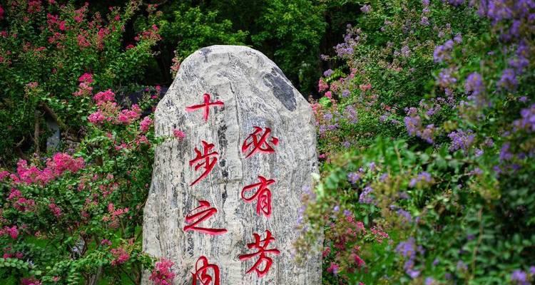 点亮生命，闪耀自我（敏锐的眼睛，发现生命中的美好）-第3张图片-学作网
