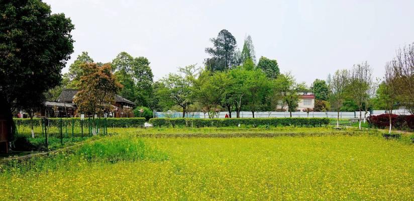 划船人生路（以划船为启示，扬帆启航）-第2张图片-学作网