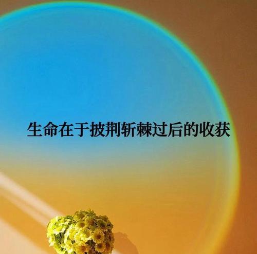 坚持不懈，迎来成功（一个微不足道的决定）-第2张图片-学作网