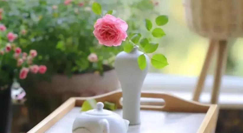 友谊真挚（一个留学生的小故事）-第3张图片-学作网