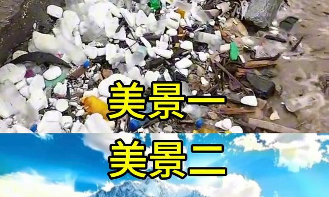 梦想的坚持——一个女孩用爱心守护自己的梦想-第2张图片-学作网