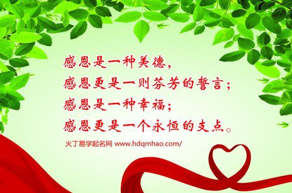 感恩知道回报（小狗的故事）-第1张图片-学作网