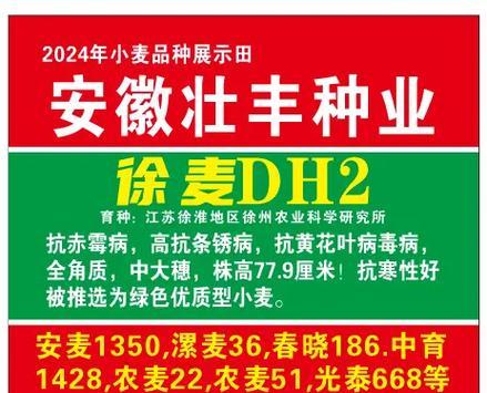 小明的种子梦（带着心爱的种子走向未来）-第2张图片-学作网
