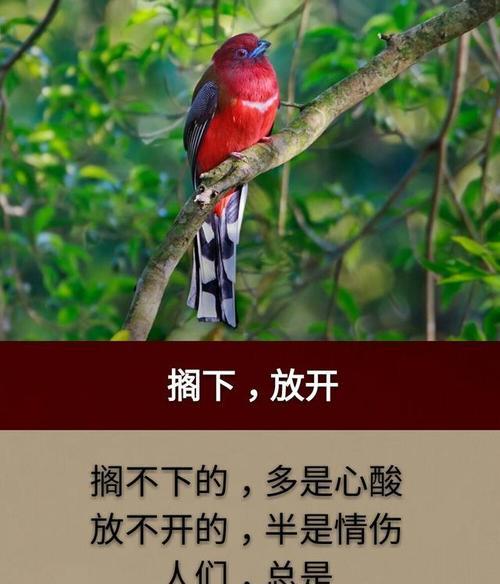 团结合作，共创美好未来（温暖的团队，打败冷酷的命运）-第1张图片-学作网