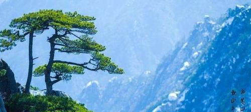秘密花园（从花园到人生，美丽与智慧的交织）-第1张图片-学作网