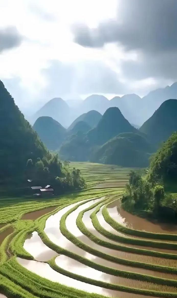 成长的美丽（从稚嫩到成熟，人生的美丽蜕变）-第1张图片-学作网