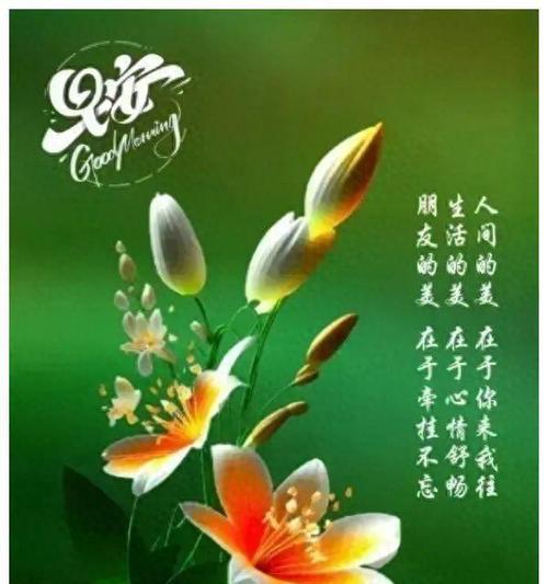 那份恒久不变的温暖（一个陌生人的善意）-第2张图片-学作网