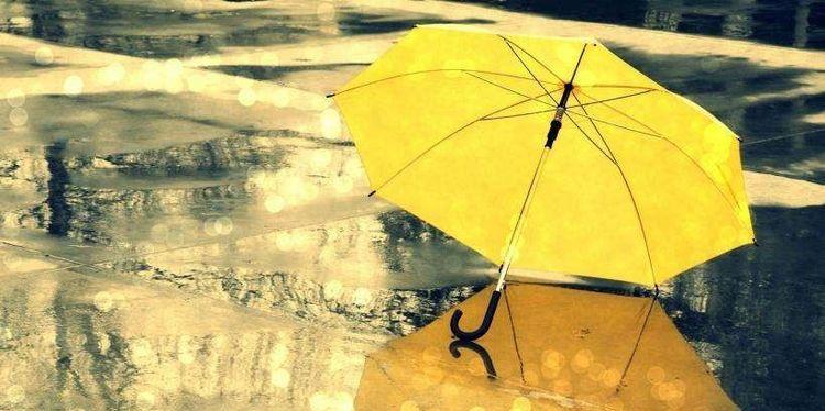 友情的雨声（浓密的雨幕中，他们的友情如何演绎？）-第3张图片-学作网