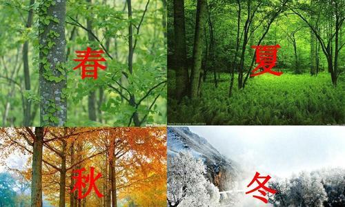 秋日里的探险之旅-第3张图片-学作网