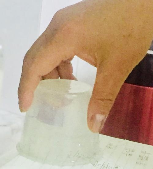 纸片托水，一次有趣的化学实验（探究水的表面张力，拯救灾民）-第3张图片-学作网