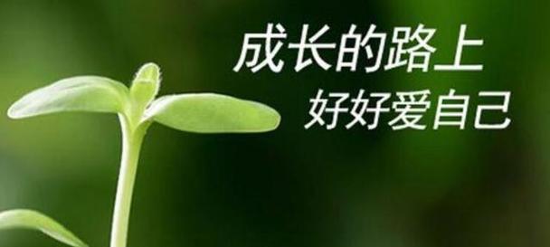 在成长路上坚持不懈（一个普通人的成长故事）-第1张图片-学作网
