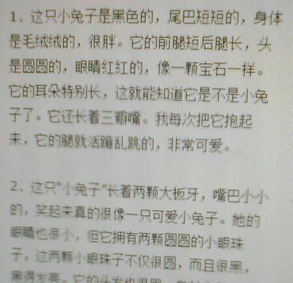 小兔子的冒险之旅（勇敢的小兔子在荒野中寻找归途）-第2张图片-学作网