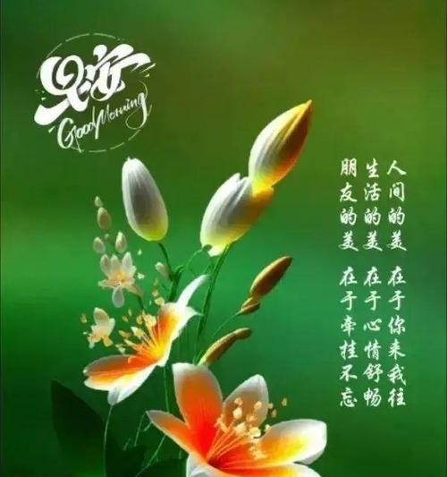 温暖在心间，感恩不断（一个小镇上的爱与温暖）-第2张图片-学作网