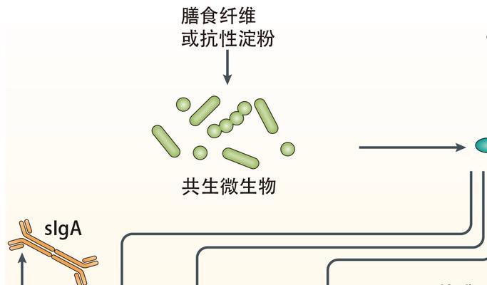 热心肠的班级（22个故事22种温暖）-第2张图片-学作网