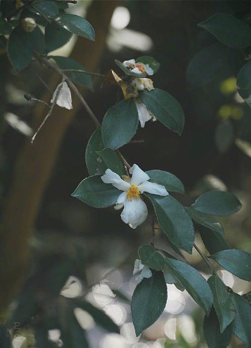 暖流在心间——一场特别的考试（默默支持背后的那一位）-第3张图片-学作网