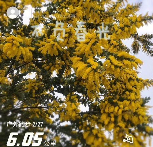 春天里的无悔选择（在青山绿水中追寻梦想）-第2张图片-学作网