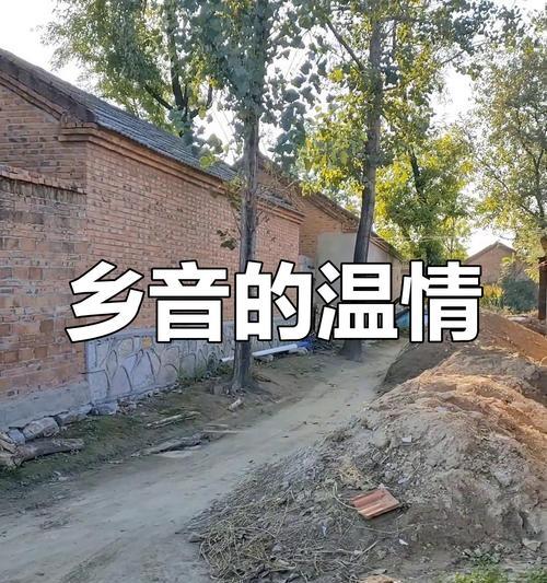 仁爱的力量（无助少年的福音）-第2张图片-学作网