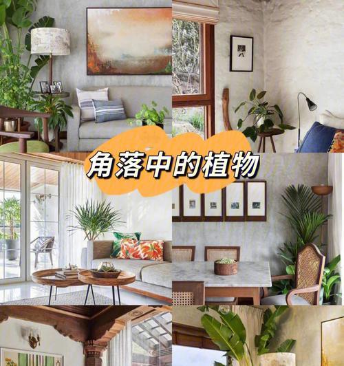 以焕发生机，重拾生活的光彩（一个充满能量的女孩的故事）-第3张图片-学作网