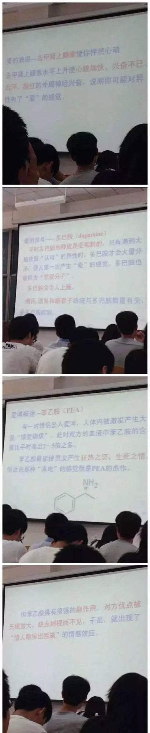 磨砺之路（同桌，你让我更强大）-第2张图片-学作网