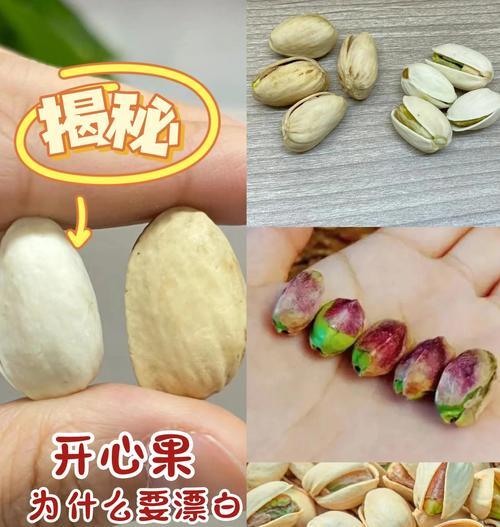 一个寻找开心果的小男孩的冒险之旅（一个寻找开心果的小男孩的冒险之旅）-第1张图片-学作网