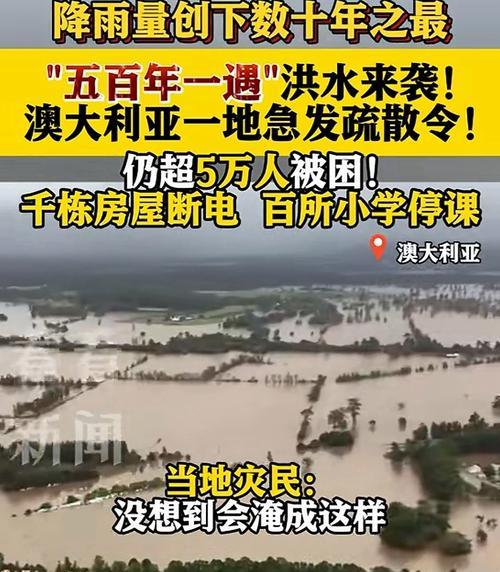 暴风雨（狂风中的勇士）-第1张图片-学作网