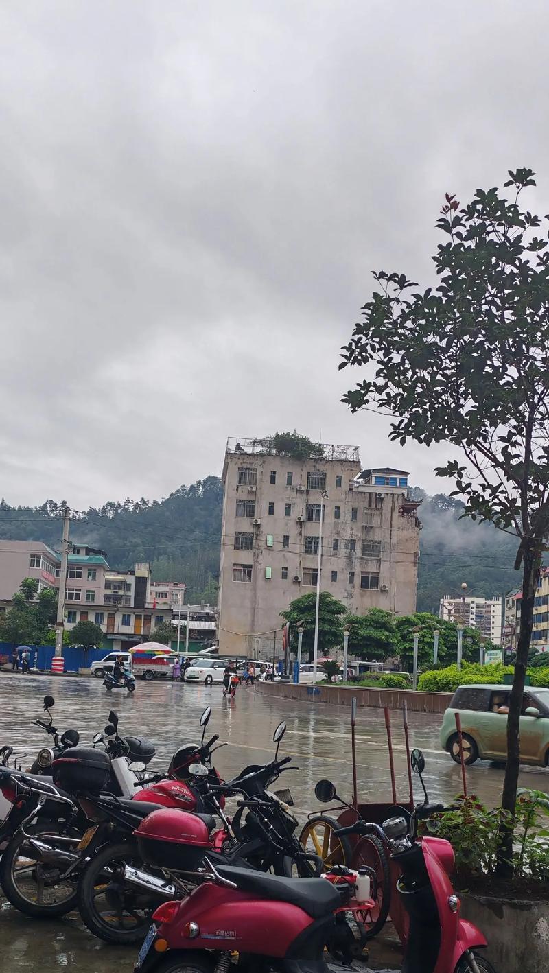 暴风雨（狂风中的勇士）-第2张图片-学作网