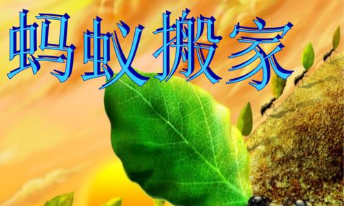 蚂蚁搬家（一次不同寻常的搬家经历）-第1张图片-学作网