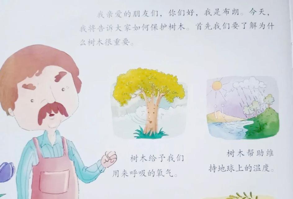 一棵小树的成长历程（一棵小树的成长历程）-第1张图片-学作网