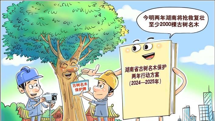 一棵小树的成长历程（一棵小树的成长历程）-第3张图片-学作网