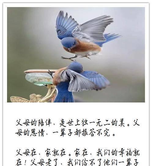 坚定决心，感恩报答（以暗下努力，实现梦想）-第3张图片-学作网