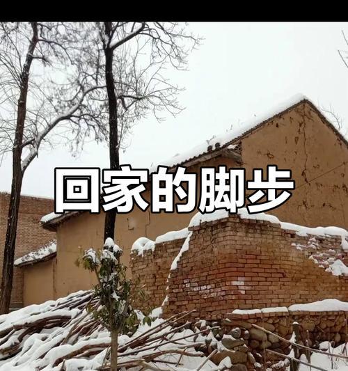 回到家的步伐-第1张图片-学作网