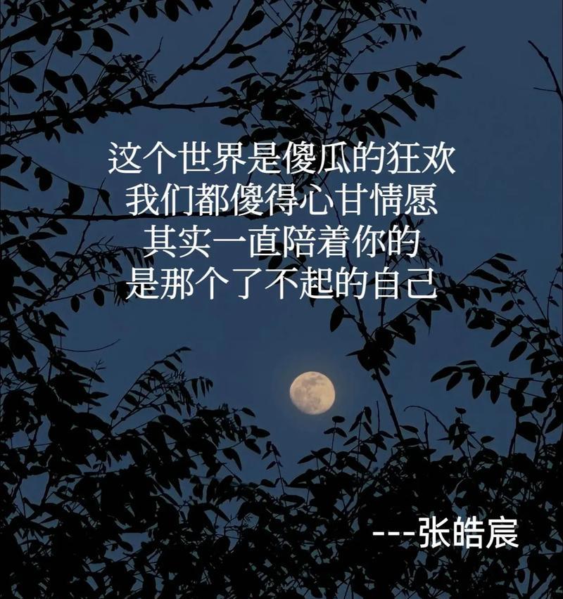无声陪伴（寻觅被忽略的陪伴）-第3张图片-学作网