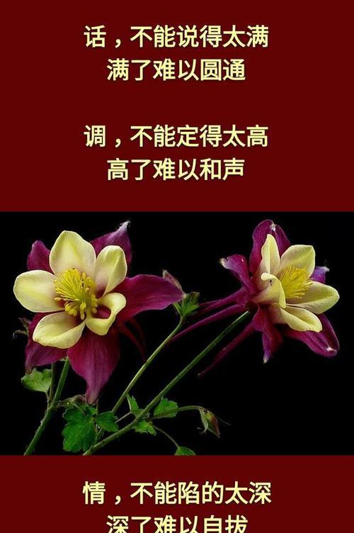 一次关于未来的人生抉择（十年后，我是否做出了正确的选择？）-第1张图片-学作网