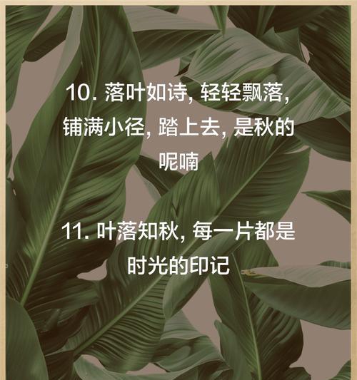 秋日思念（落叶送来的温暖）-第2张图片-学作网
